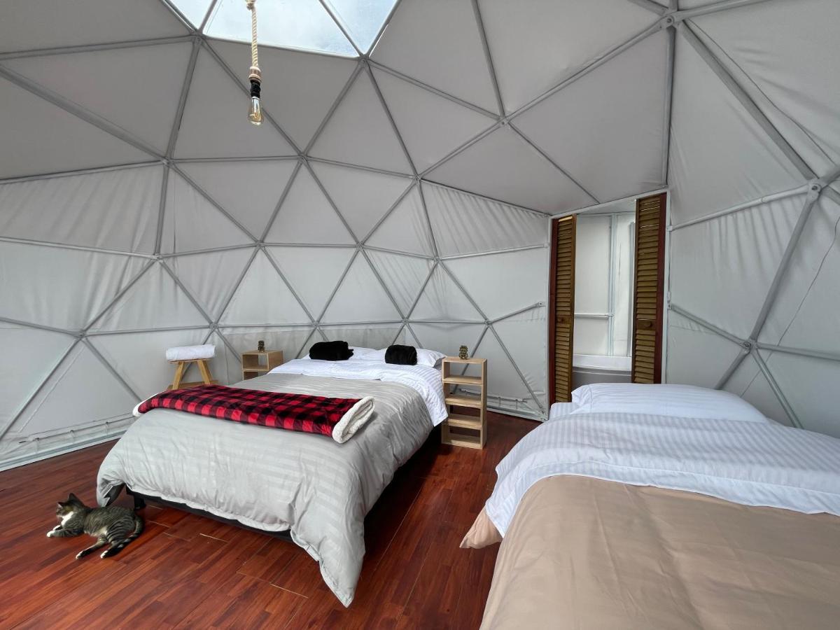 瓜塔维塔Glamping Wayra别墅 外观 照片